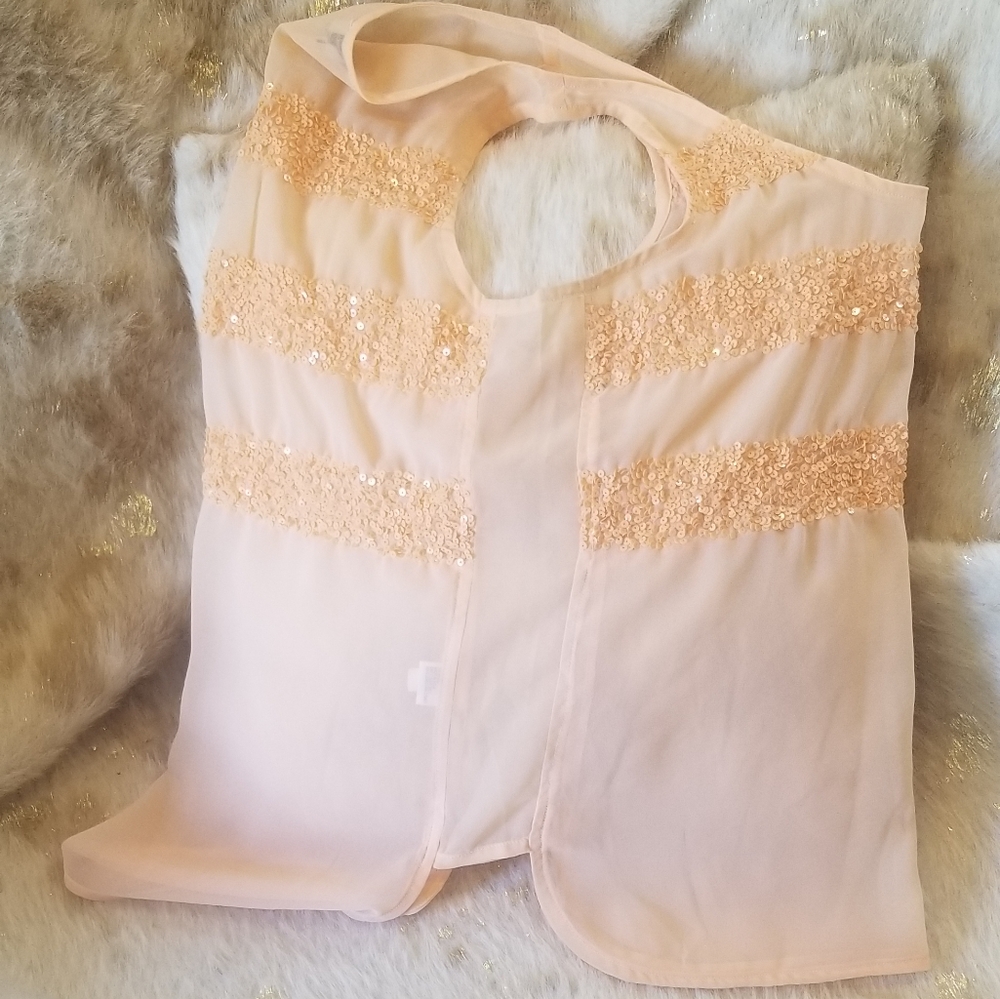 Peach Shear Sequined Top - Picture 5 of 5